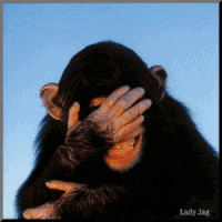 laughing-chimp-gif-animation-gifc200